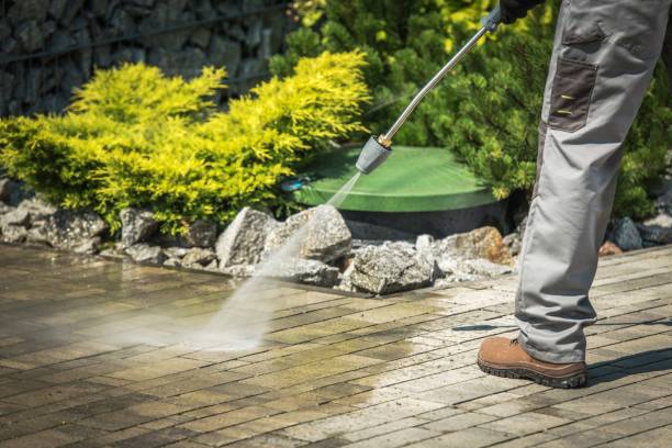 Best House Exterior Washing  in St Joseph, MI