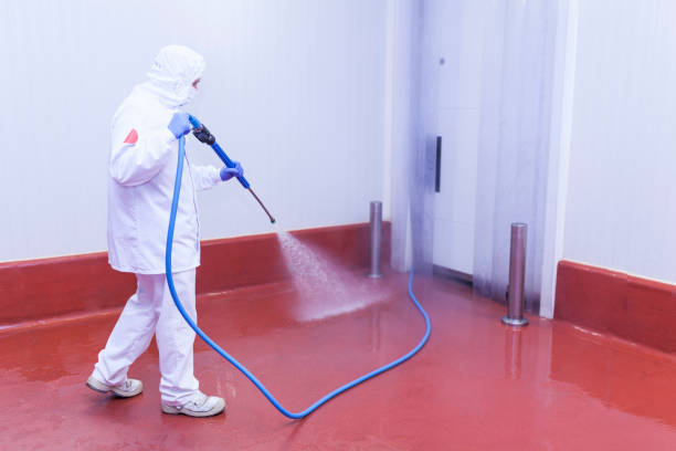 Best Roof Washing  in St Joseph, MI