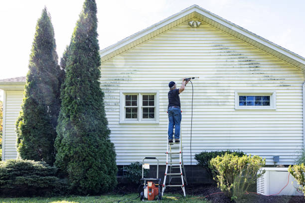 Best Patio and Deck Pressure Washing  in St Joseph, MI